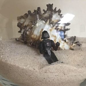 Meet your Posher, Becky